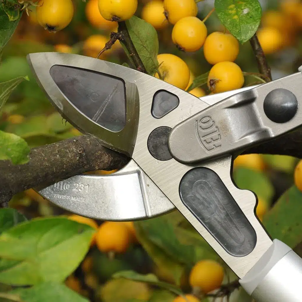 231 KALIN DAL MAKASI 80cm ANVİL EĞİK