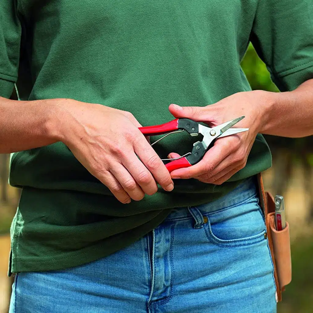 321 MEYVE TOPLAMA MAKASI