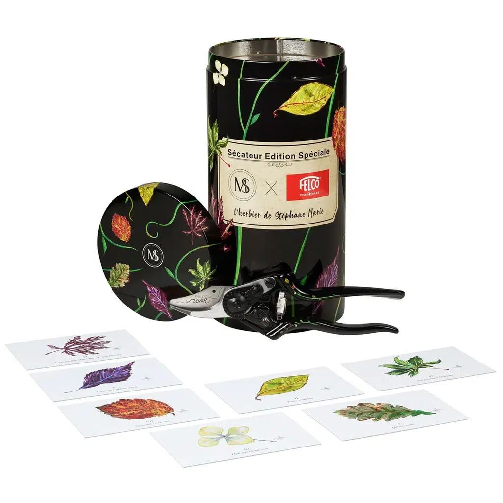 FELCO / 8 edition BUDAMA MAKASI