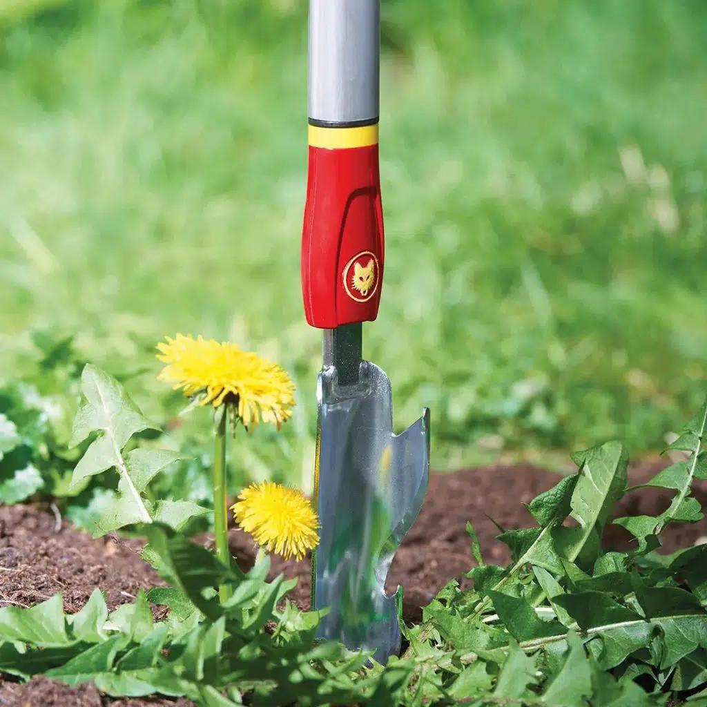 IW-M YABANİ OT SÖKÜCÜ 4 CM