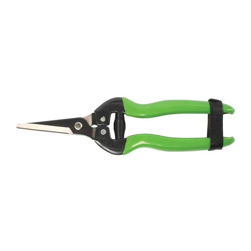 MEYVE TOPLAMA MAKASI EĞİK AĞIZ 19cm