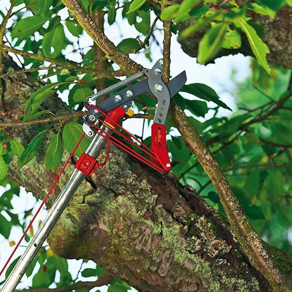 RC-VM YÜKSEK DAL BUDAMA MAKASI ANVİL