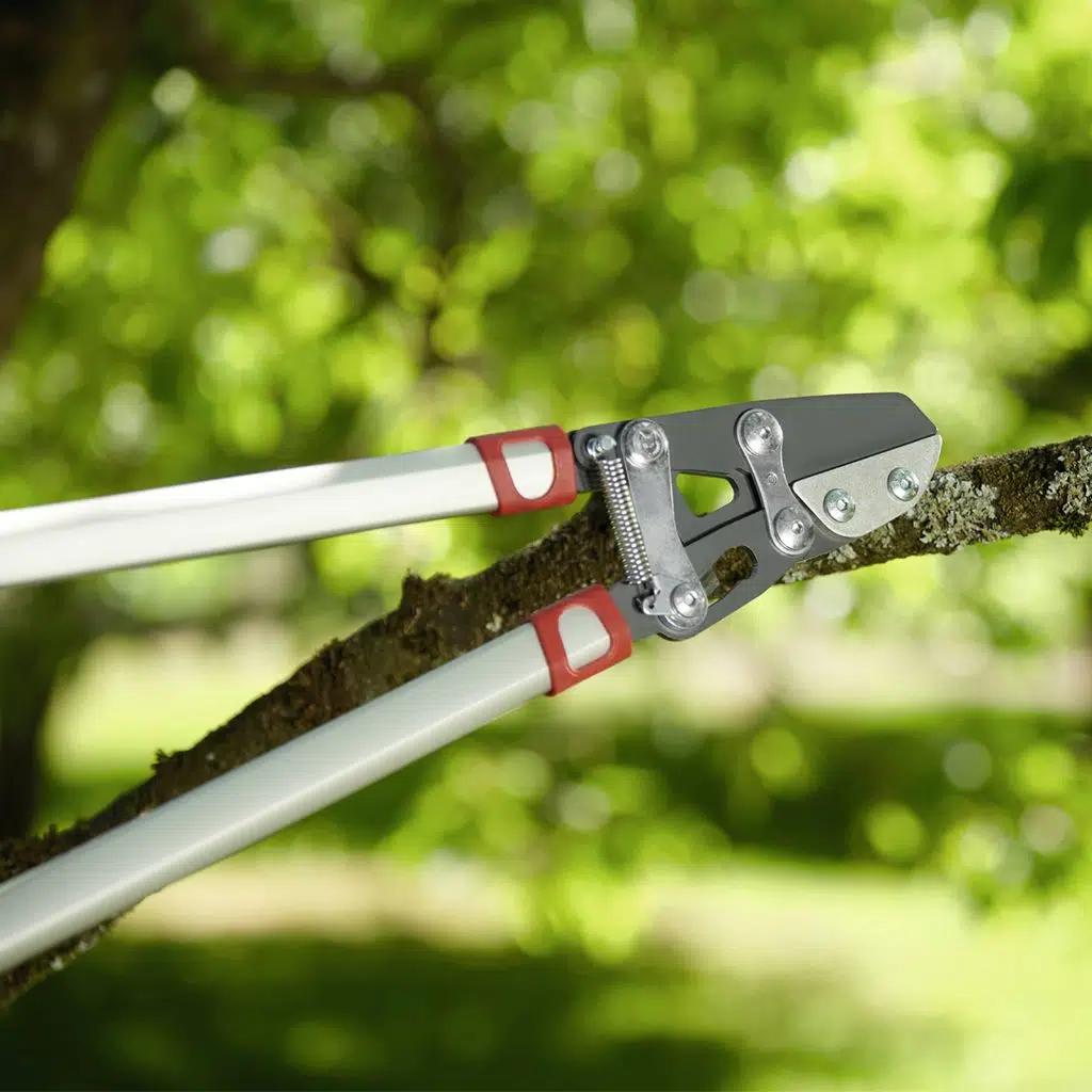 POWER CUT RS 800 V KALIN DAL BUDAMA MAKASI